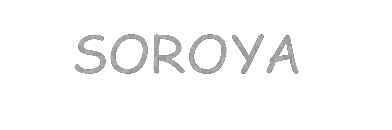 soroya – professional hearing aid accessories manufacturer
