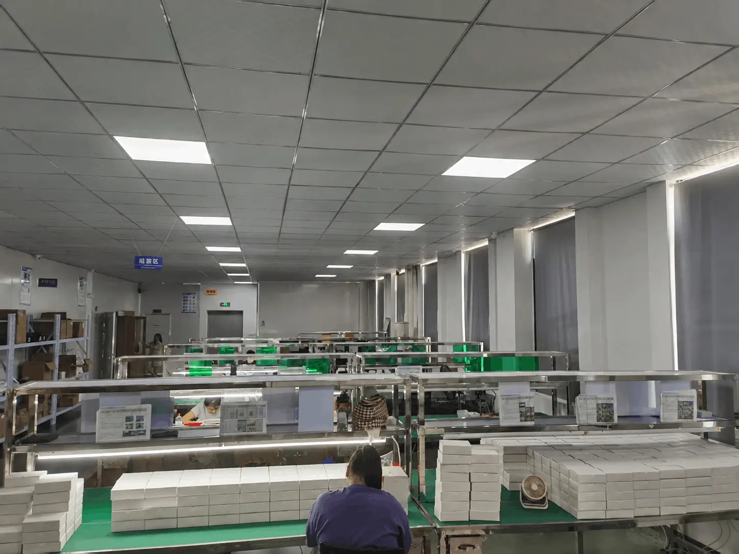 Automated packaging line for hearing aid accessories – blister sealing and labeling station